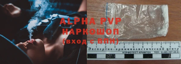 a pvp Аркадак