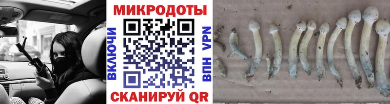 мега маркетплейс  Полярный  Псилоцибиновые грибы Cubensis 